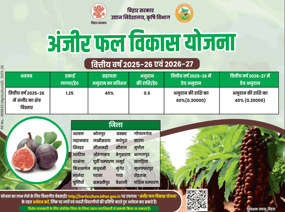 Bihar Anjeer Vikas Yojana 2025