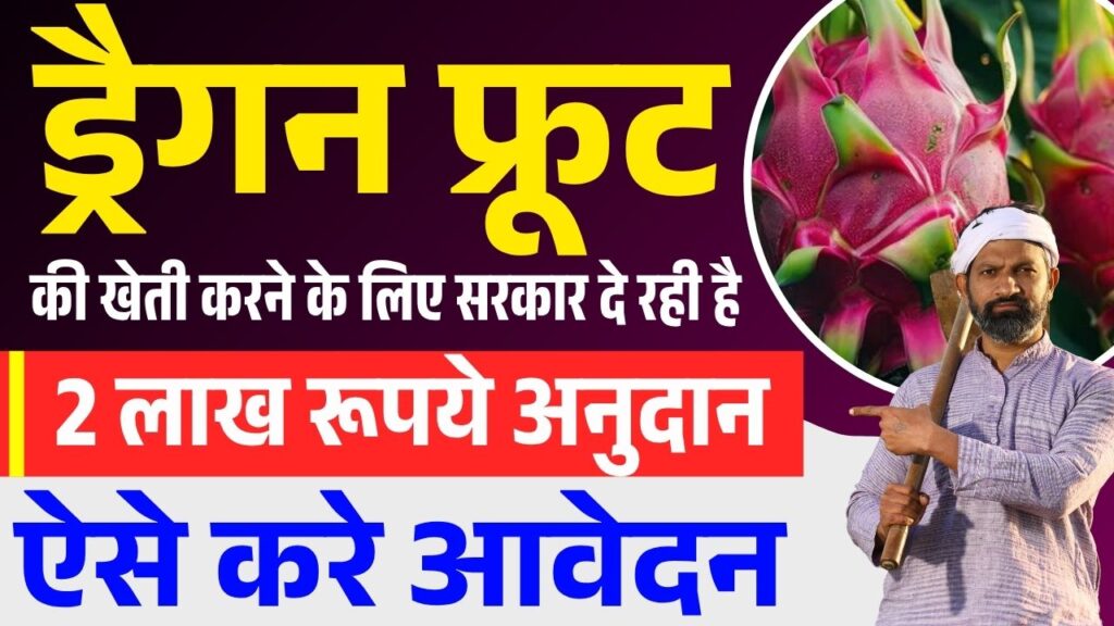 Bihar Dragon Fruit Vikas Yojana 2025