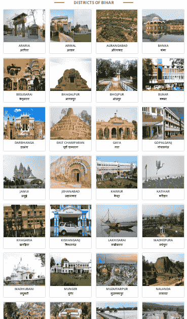 Bihar Vikash Mitra Vacancy 2025