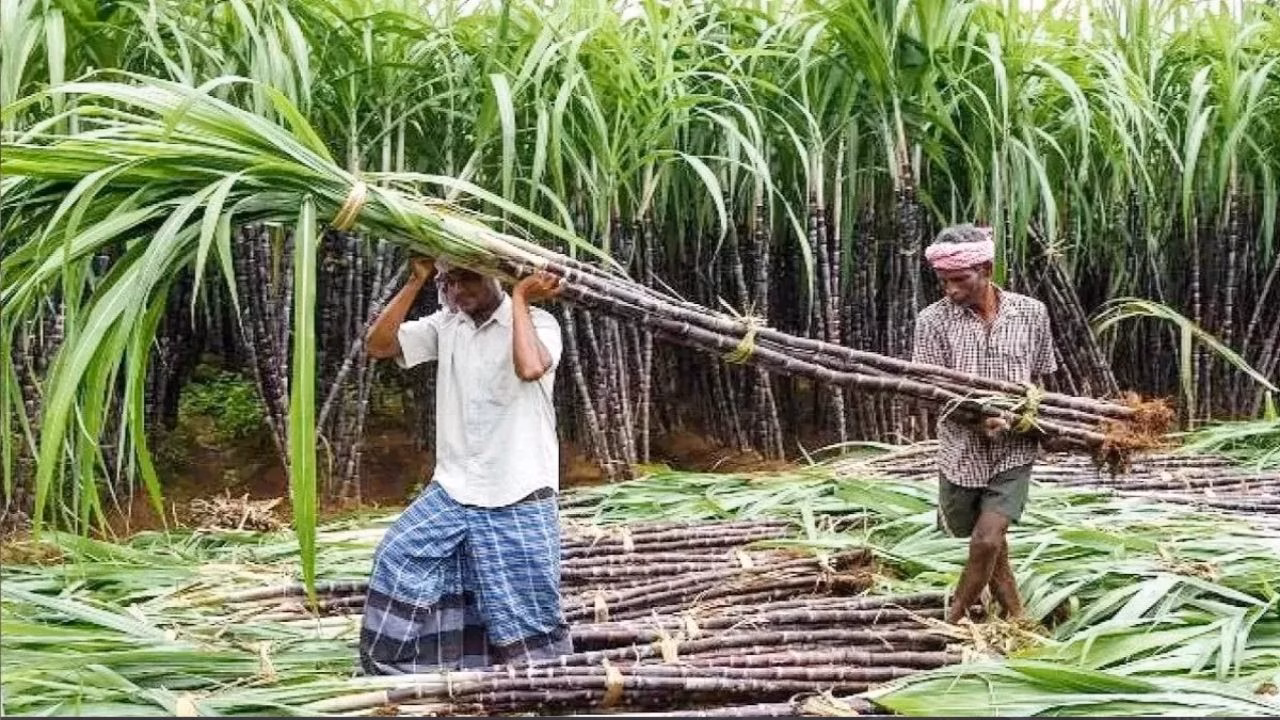 Bihar Ganna Fasal Vistaar Yojana 2026