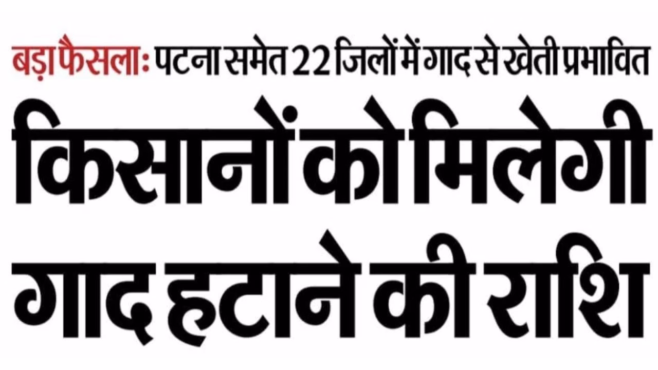Bihar Gaad Safai Update